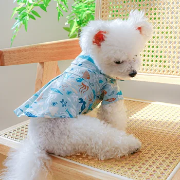 Одежда для домашних животных новинки весны и лета, одежда из двух предметов для собак малого и среднего размера, плюшевый мишка, удобный досуг.