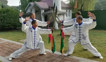 Унисекс одежда для тайцзицюань с синей и белой шелковой вышивкой высшего качества, костюмы для тайцзицюань, униформа для боевых искусств ушу кунг-фу